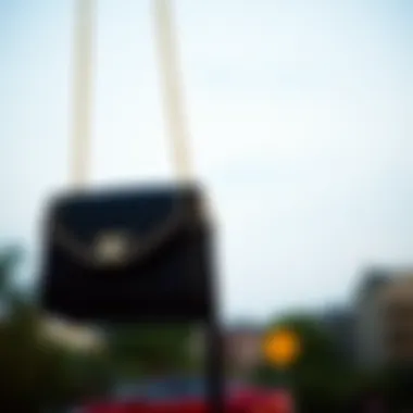 Magnificent An In-Depth Exploration of Necklace Bags: A Fashion Statement Redefined