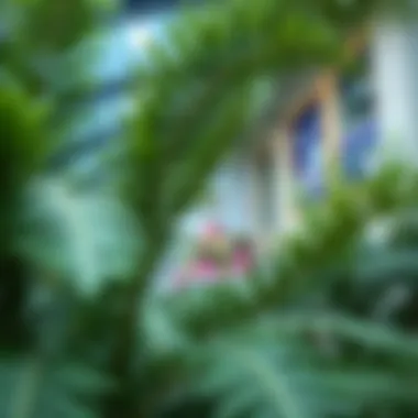 Magnificent Artificial Ferns for Outdoors: An In-Depth Exploration
