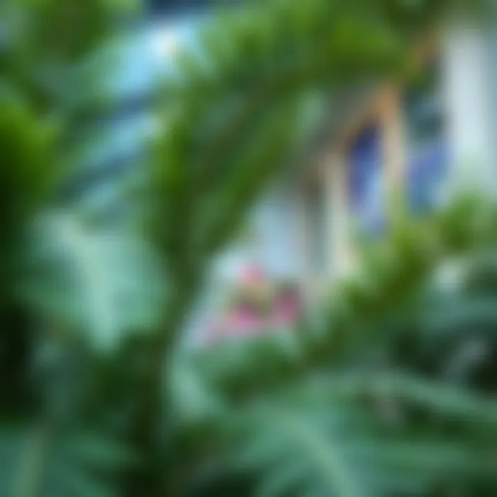 Magnificent Artificial Ferns for Outdoors: An In-Depth Exploration