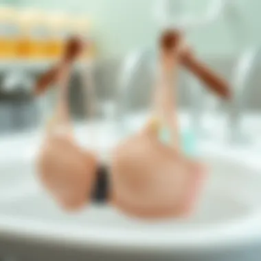 Magnificent Comprehensive Guide to Bra Holders for Laundry: Maintenance and Care