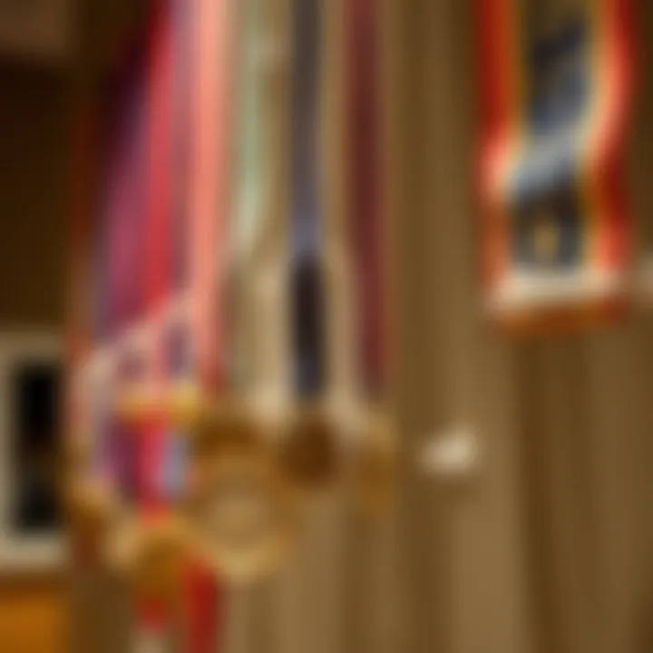 Magnificent The Art and Functionality of Medal Hook Displays