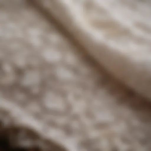 Elegant close-up of stretchy lace fabric showcasing intricate patterns and textures