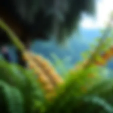 Artificial Ferns for Outdoors: An In-Depth Exploration Summary
