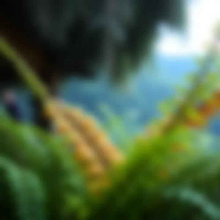 Artificial Ferns for Outdoors: An In-Depth Exploration Summary