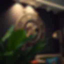 Astrological wall art featuring zodiac symbols