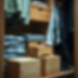 Cedar wood blocks placed in a closet for moth prevention