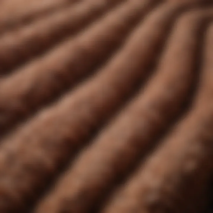 Close-up of chenille texture highlighting fibers