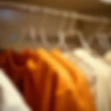 Sustainability in Fashion Storage A sustainable storage solution featuring acrylic hangers