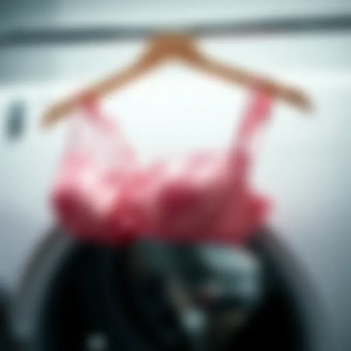 Comprehensive Guide to Bra Holders for Laundry: Maintenance and Care Summary