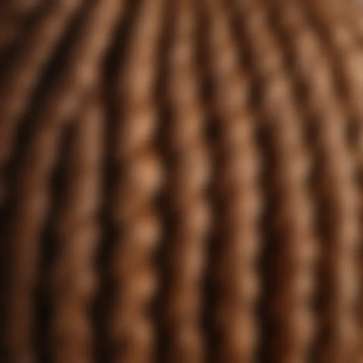 Close-up view of crochet hair texture highlighting craftsmanship