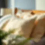 Decorative Pillowcases for Bed: A Comprehensive Guide Introduction