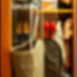 Efficient Shoe Storage Solutions: The Role of Hanging Storage Bags Introduction