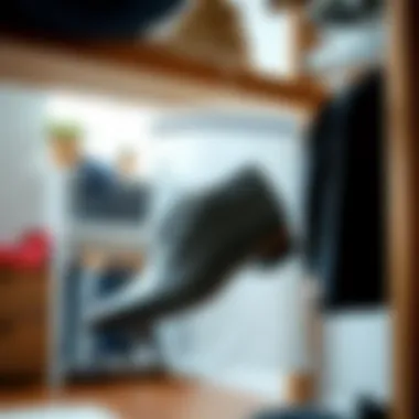 Efficient Shoe Storage Solutions: The Role of Hanging Storage Bags Summary Efficient Shoe Storage Solutions: The Role of Hanging Storage Bags Summary