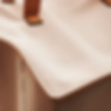 Close-up on the materials used in the Emery Rose tote bag, showcasing quality and texture