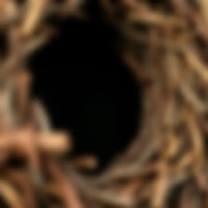 Close-up View of Unique Wood Wreath Texture Close-up view of unique wood wreath texture
