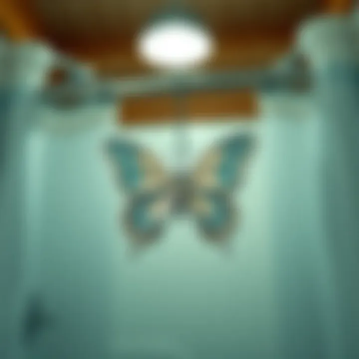 Exploring Butterfly Shower Curtain Hooks: A Fusion of Design and Functionality Summary