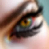 Innovative design of dual magnetic lashes showcasing their unique features.