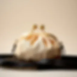 Elegant dumpling clutch bag displayed on a minimalist background