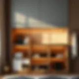 Elegant shoe storage unit showcasing modern design