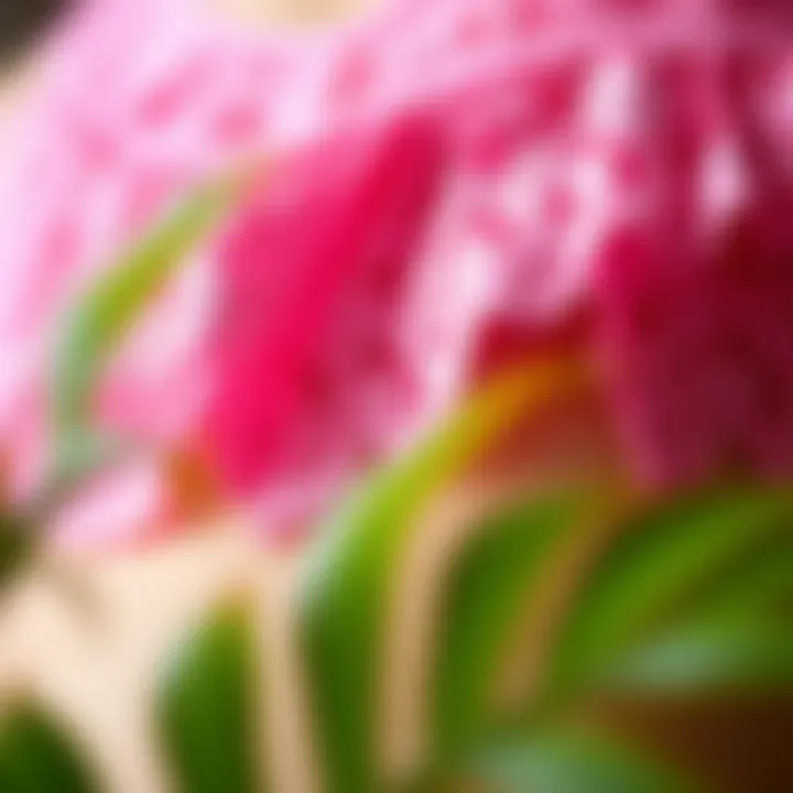 Close-up of intricate lace and fabric details of hot pink babydoll lingerie