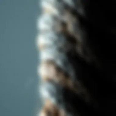 Detail of Micro Braid Technique A close-up of micro braids highlighting their fine detail and craftsmanship.