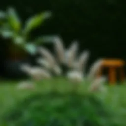 Exploring Miniature Fake Grass: A Stylish Alternative for Modern Spaces Introduction