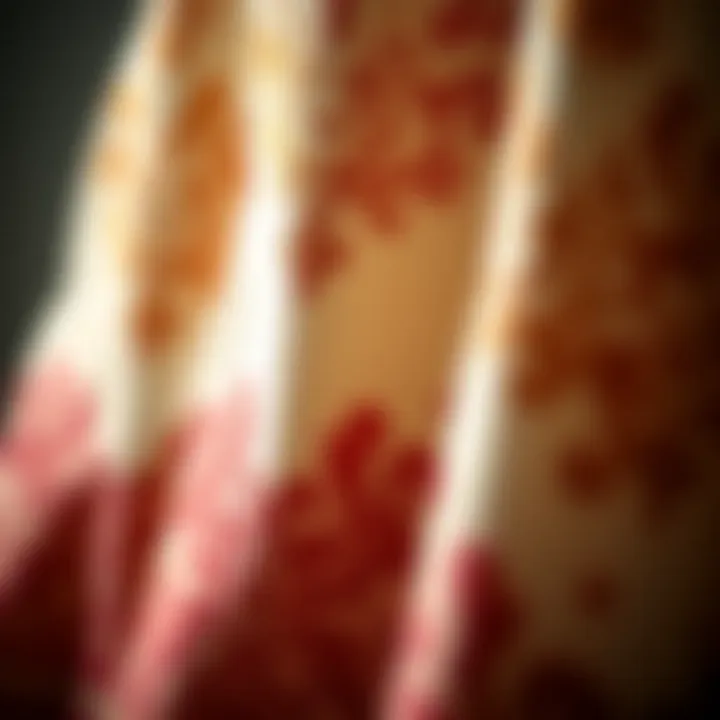 Luxurious Fabric Details A close-up of luxurious fabric showcasing intricate designs typical of modern palazzo pants.