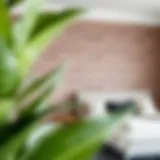 Elegant ship lap design applied on a feature wall