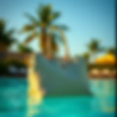 Exploring the Allure of Monogram Pool Bags Introduction