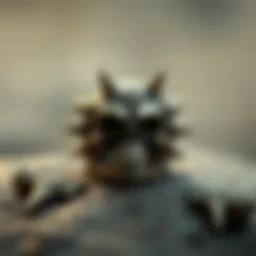 Intricate spiked skull ring showcasing detailed craftsmanship