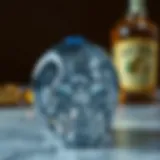 Exploring the Domain of Skull Ice Cube Trays: A Design Perspective Introduction