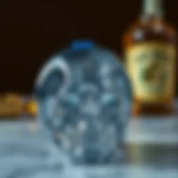 Exploring the Domain of Skull Ice Cube Trays: A Design Perspective Introduction