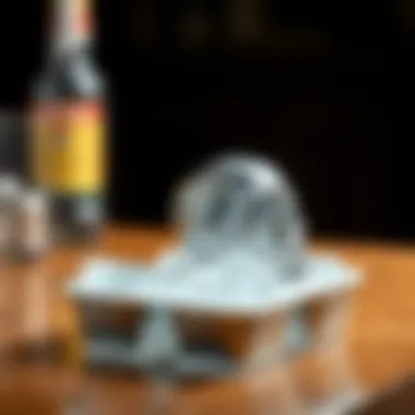Exploring the Domain of Skull Ice Cube Trays: A Design Perspective Summary