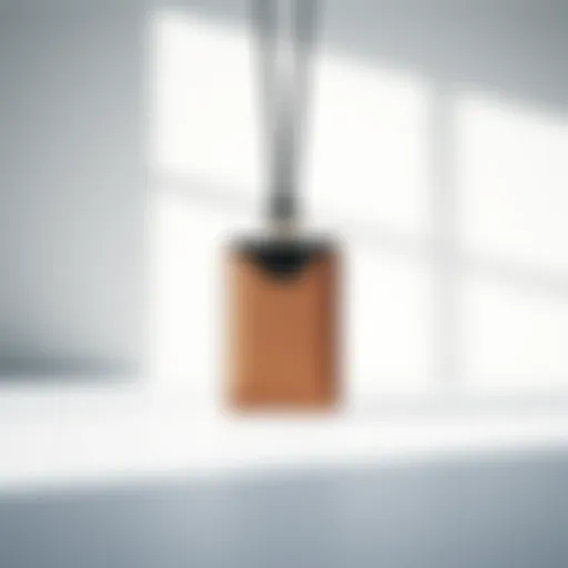 Stylish Neck Card Holder A stylish neck card holder displayed against a minimalist background