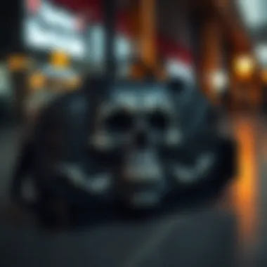 Functional Attributes of the Skull Overnight Bag Functional attributes of the skull overnight bag highlighting its utility