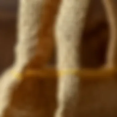 The Texture and Durability of Burlap A close-up of burlap material highlighting its texture and durability