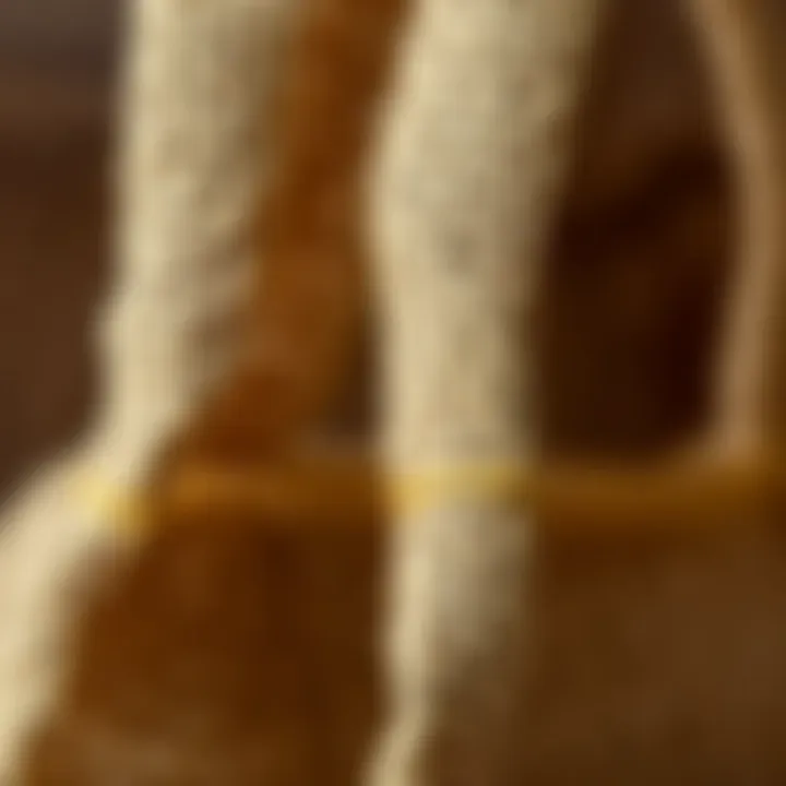 The Texture and Durability of Burlap A close-up of burlap material highlighting its texture and durability