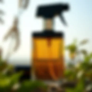 Sustainable materials used in crafting perfume spray bottles