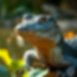 Exploring the World of Silk Neck Gators Introduction