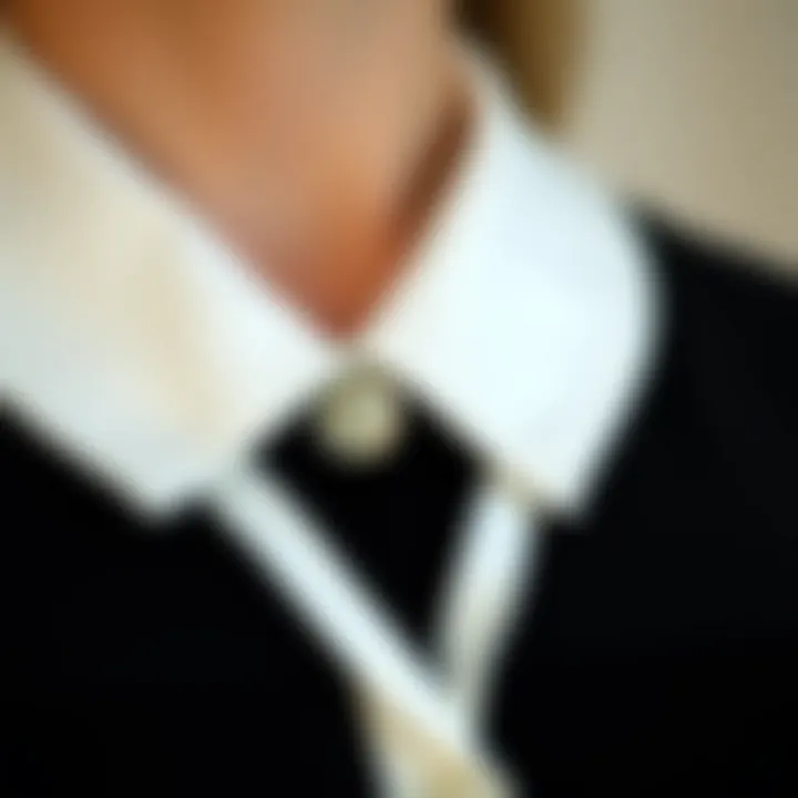 Close-up of fabric choices for turn down collar dresses