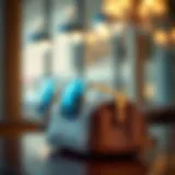 A sophisticated eyeglass holder in a luxurious material