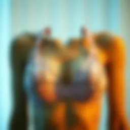 Fast Drying Bra: A Comprehensive Exploration Introduction