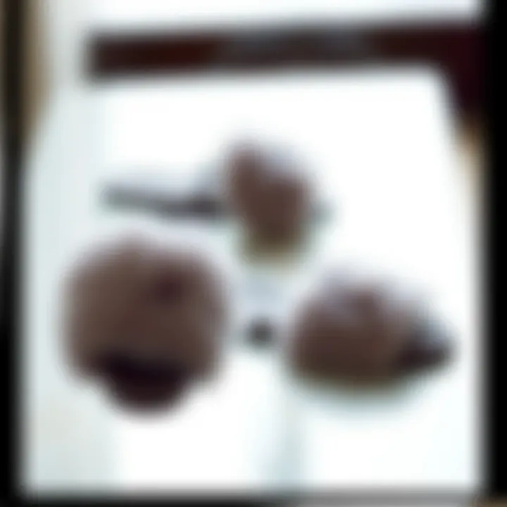 Eco-Conscious Fluffy Slides Collection A collection of eco-friendly fluffy slides with sustainable materials