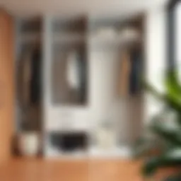 Sleek four-shelf closet organizer showcasing modern design