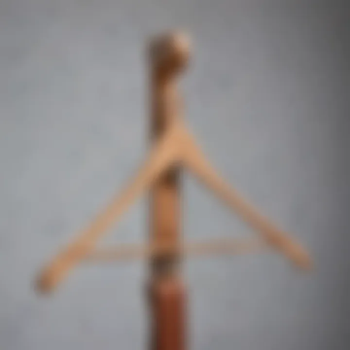 Elegant wooden hanger designed for belts