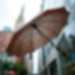 Elegant leopard print umbrella opened against a city backdrop