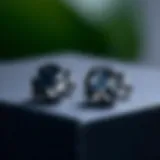 Stylish black cubic zirconia stud earrings on display