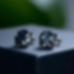 Stylish black cubic zirconia stud earrings on display