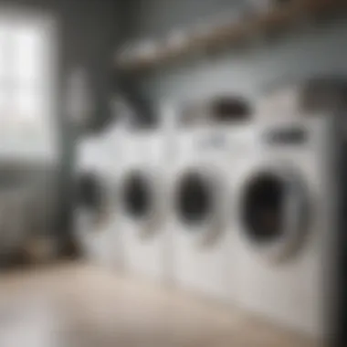 A neatly organized laundry area with washing machine bags