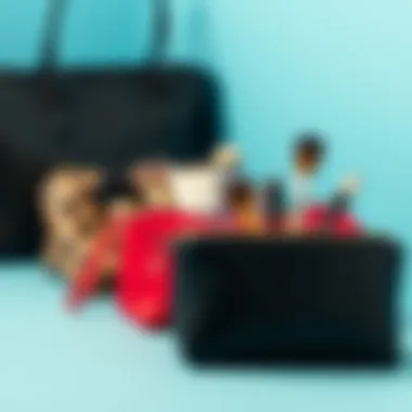 Diverse Materials for Makeup Organization Variety of small makeup brush bags in different materials